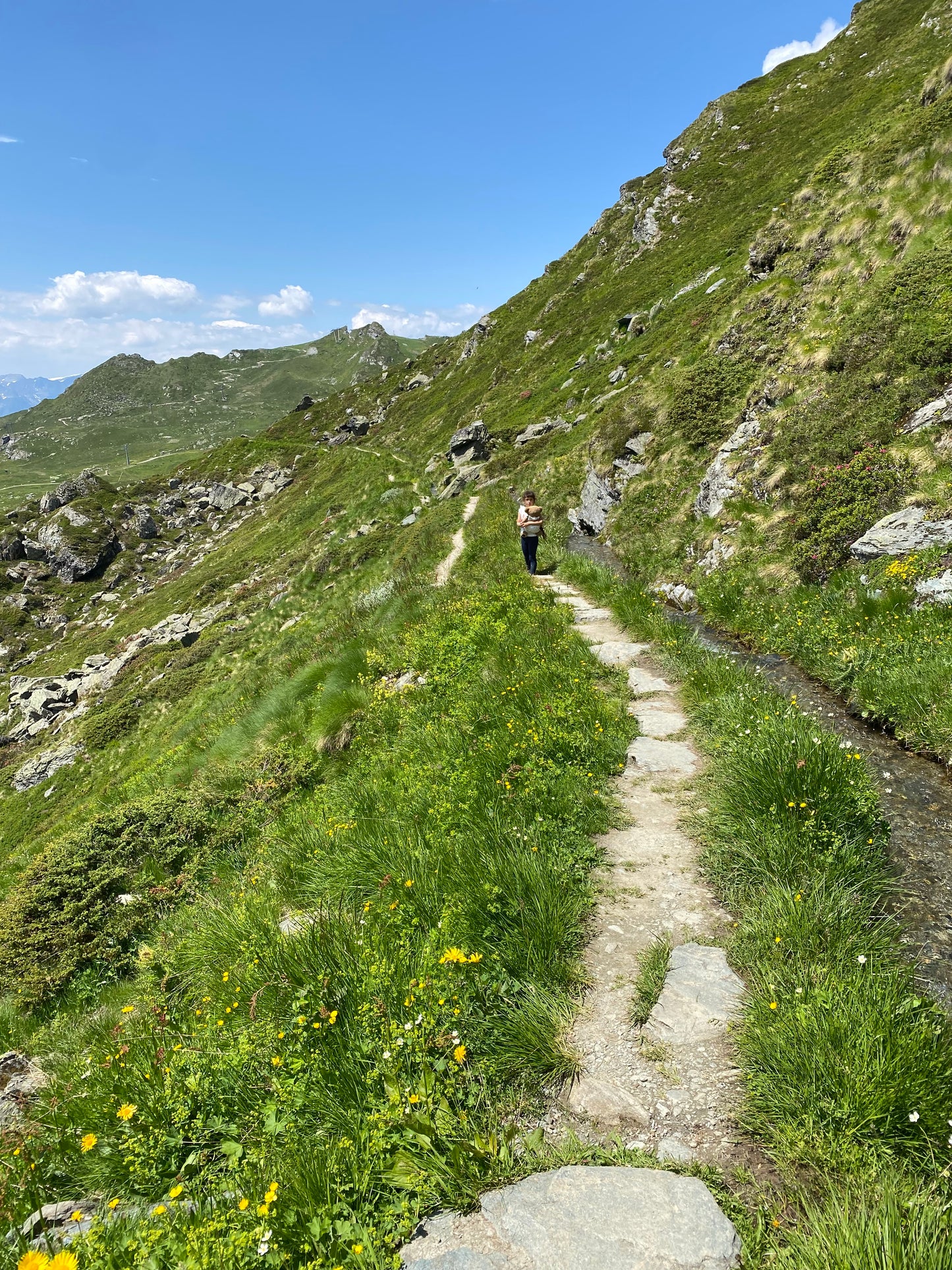 Family walking holiday in Verbier - 8 days
