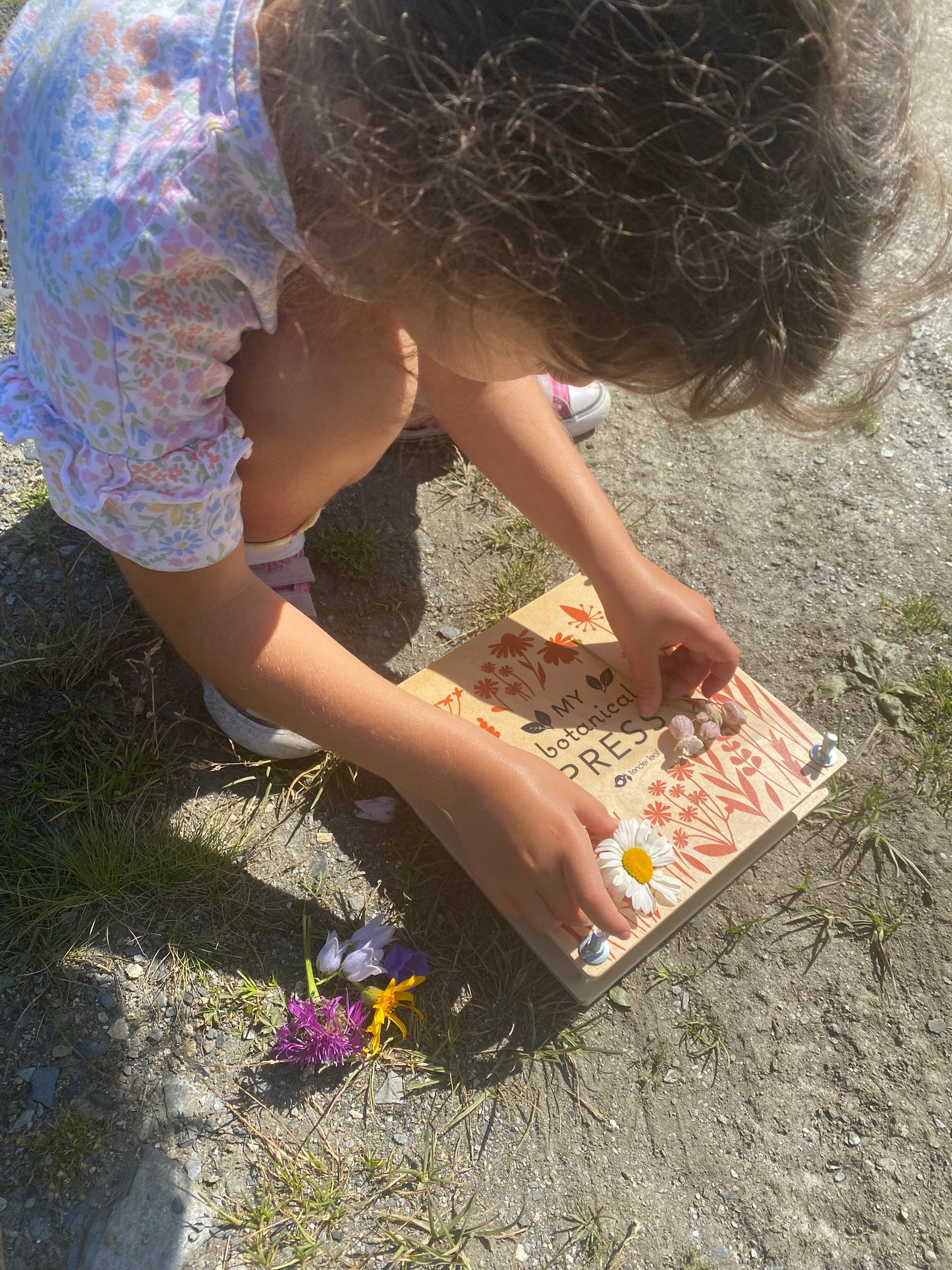 Family walking holiday in Verbier - 8 days