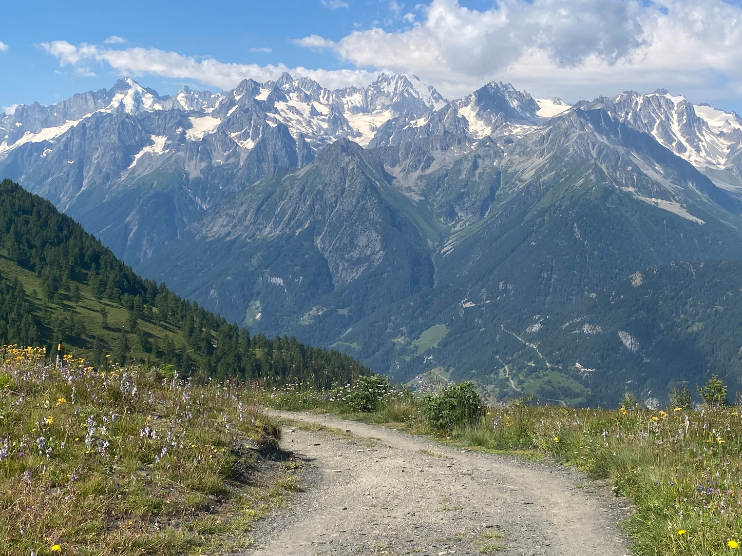 Ladies guided walking day
