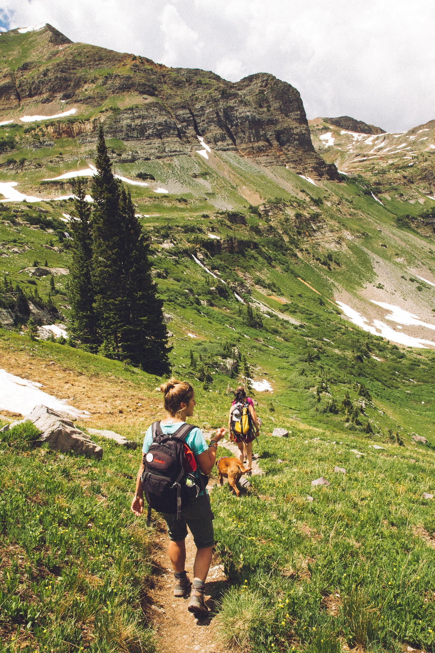 Ladies guided walking day