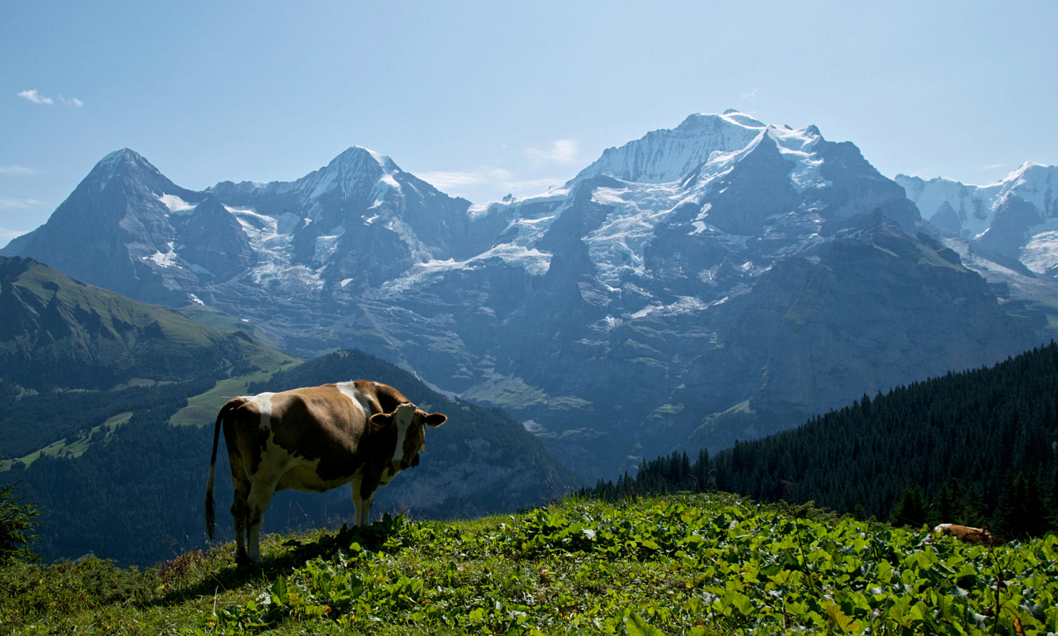 Bernese Oberland - Switzerland