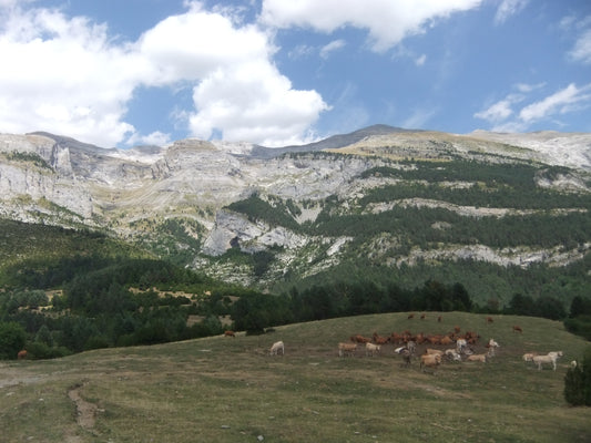 Bestue Hike - Spanish Pyrenees
