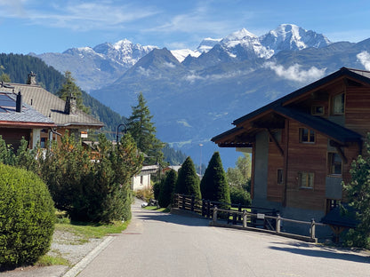Half day guided walking in Verbier